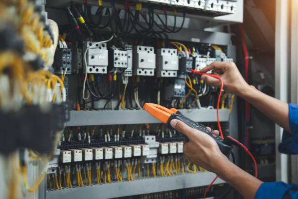 Best Licensed Electrician  in Spring Park, MN